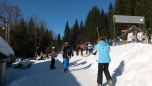 LVVZ - únor 2017 - aktuální foto